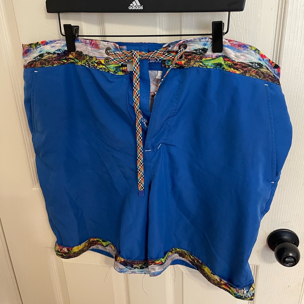 Beautiful Robert Graham Bathing suit/ trunk in EUC size 38